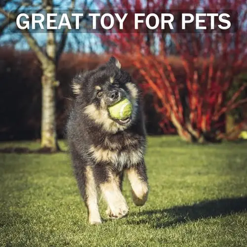 Swingers Tennis Balls, Training Exercise Balls for Pet Dog | High Elasticity Practice Tennis Balls for Beginner, With Mesh Carry Bag, Easy to Transport, Gift for Dog Lover 