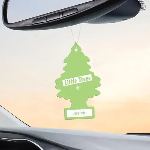 LITTLE TREES Car Air Freshener | Hanging Paper Tree for Home or Car | Jasmin | 12 Pack - 4
