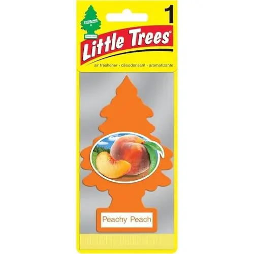 LITTLE TREES Car Air Freshener | Hanging Paper Tree for Home or Car | Peachy Peach Scent | 24 Pack - 2