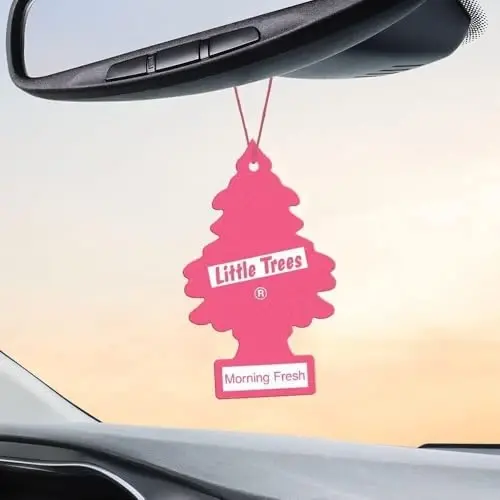 LITTLE TREES Car Air Freshener | Hanging Paper Tree for Home or Car | Morning Fresh | Pack of 3 - 2
