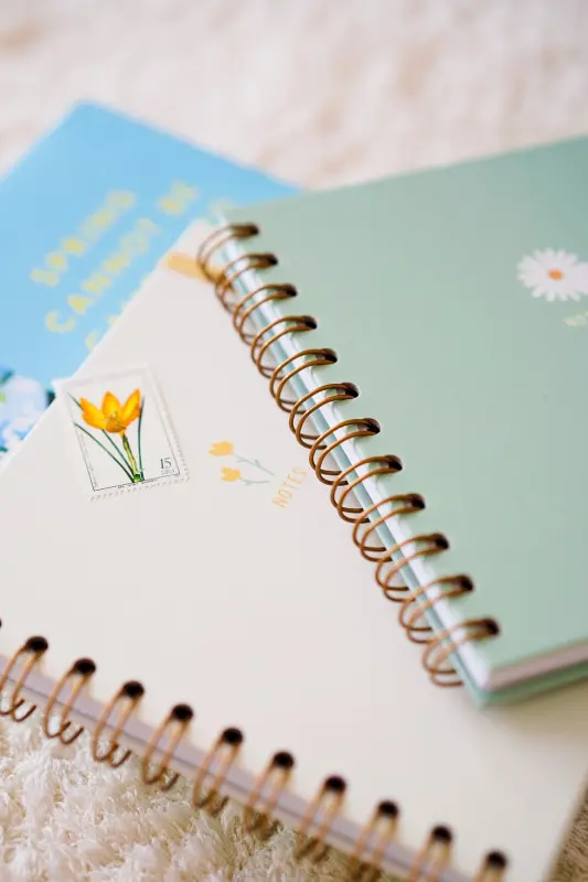 15x15 Cm Square 2-Piece Set Spiral Lined Undated Notebook Daisy-Green - 2