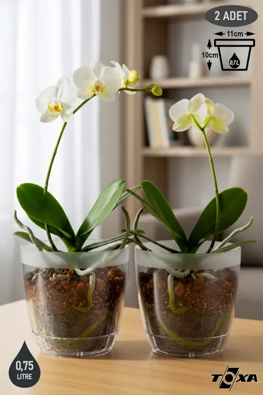 2 Adet 0,75 Litre Kristal Orkide Saksısı Set Tabaklı Şeffaf Plastik Saksı Seti-0,75L Set - TOXA