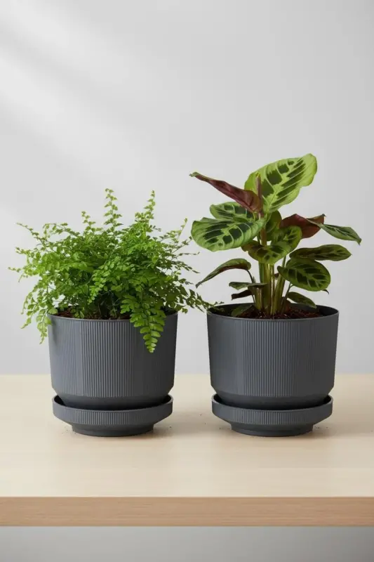 2 Adet 6 Litre Dekoratif Lüks Saksı Iç Dış Mekan Tabaklı Plastik Çiçek Saksısı Seti 22,5 * 18,5 cm. - ANTRASİT 2'Lİ - BLISS