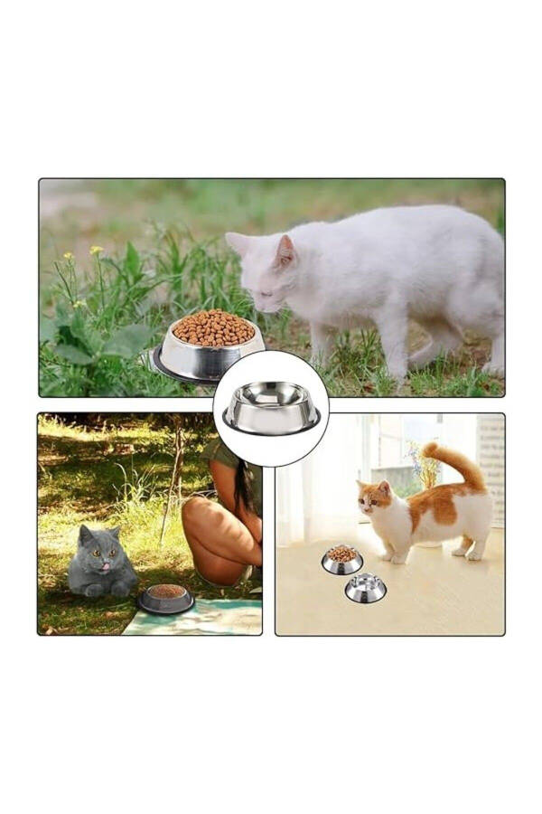 2 Adet Paslanmaz Çelik Mama Ve Su Kabı, Alt Taban 16 Cm Kedi Mama Kabı Köpek Mama Kabı (250 ML-8 OZ) - 4