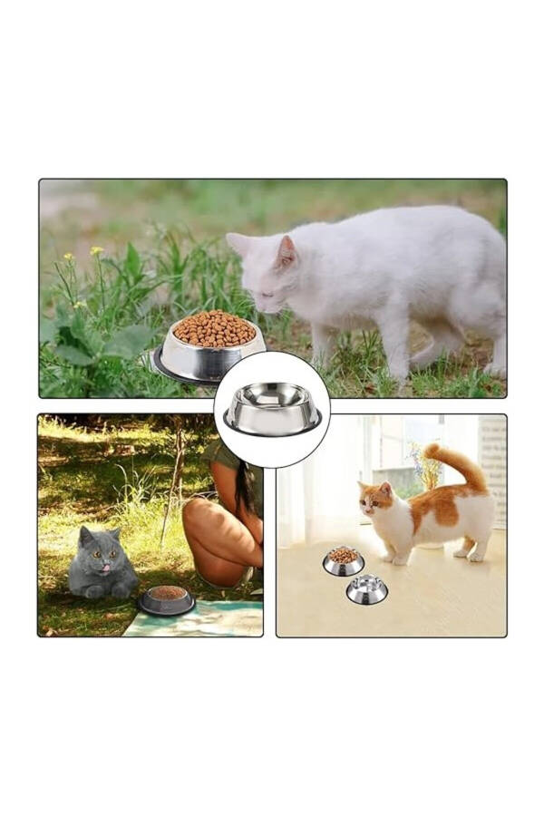 2 Adet Paslanmaz Çelik Mama Ve Su Kabı, Alt Taban 16 Cm Kedi Mama Kabı Köpek Mama Kabı (250 ML-8 OZ) - 10