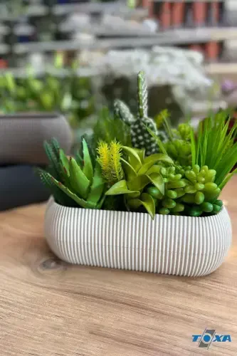 2 Boy Mercan Удлиненный Коричневый Набор Горшков Karasu Plastik Succulent Балконный Набор Горшков-Кофе - 5