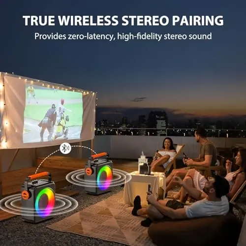 Karaoke Machine with 6.5