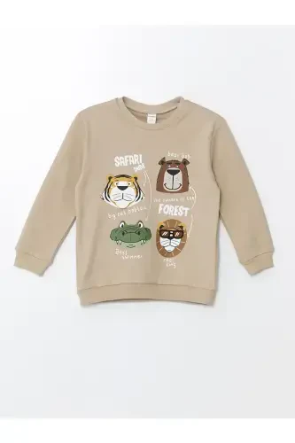 2-Pack Printed Long Sleeve Baby Boy Sweatshirt - LC WAIKIKI (1)