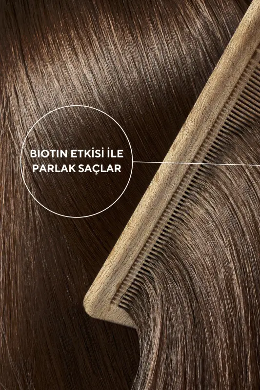 2-Pack Vegan Hair & Nail Vitamin Chewy Gummy Biotin 5000, Vitamin D, Folic Acid, Horsetail - VITACEEL