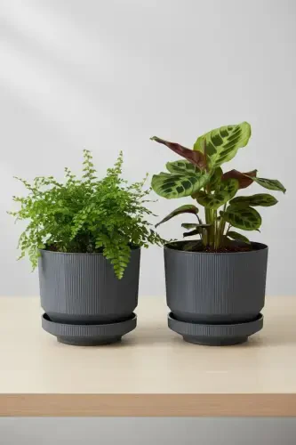 2 Pcs 6 Liter Decorative Luxury Pot Indoor Outdoor Saucered Plastic Flower Pot Set 22.5 * 18.5 cm. -ANTHRACITE 2 PCS - 1