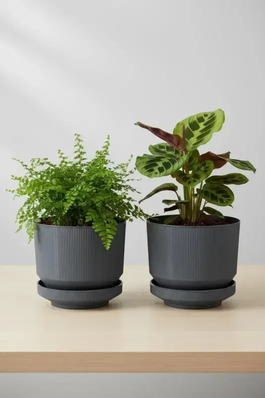 2 Pcs 6 Liter Decorative Luxury Pot Indoor Outdoor Saucered Plastic Flower Pot Set 22.5 * 18.5 cm. -ANTHRACITE 2 PCS - 1