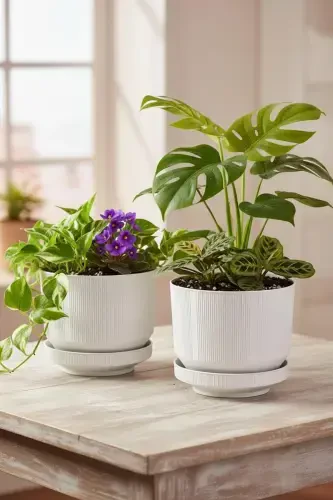 2 Pcs 6 Litre Decorative Luxury Pot Indoor Outdoor Saucered Plastic Flower Pot Set 22,5 * 18,5 cm. -STONE WHITE 2'Lİ - 2