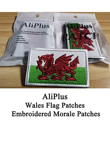 2 PCS AliPlus Wales Flag Patches Embroidered Tactical Military Morale Patch Applique Fastener Hook and Loop - ALIPLUS (1)