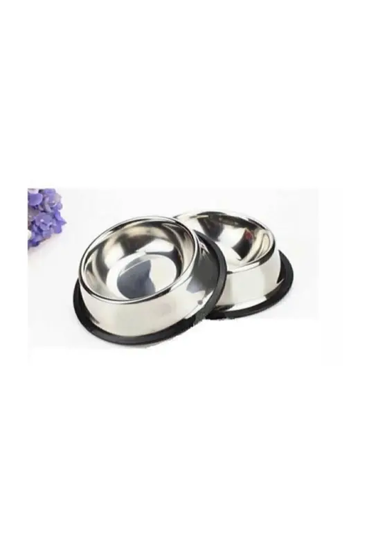 2 Piece Stainless Steel Food and Water Bowls, Base Diameter 16 Cm (250 ML-8 OZ) - 4