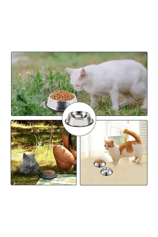 2 Piece Stainless Steel Food and Water Bowls, Base Diameter 16 Cm (250 ML-8 OZ) - 4