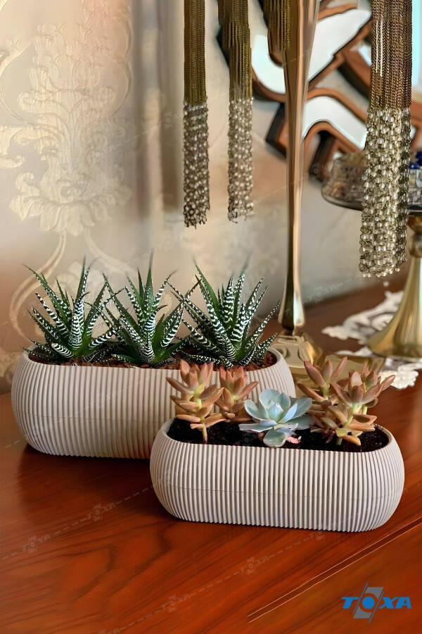 2 Size Coral Long Beige Pot Set Karasu Plastic Succulent Balcony Pot Set - 9
