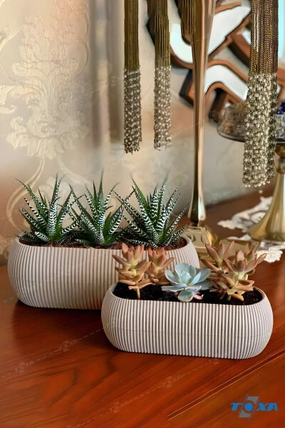 2 Size Coral Long Beige Pot Set Karasu Plastic Succulent Balcony Pot Set - 9