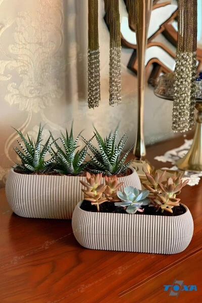 2 Size Coral Long Beige Pot Set Karasu Plastic Succulent Balcony Pot Set - TOXA