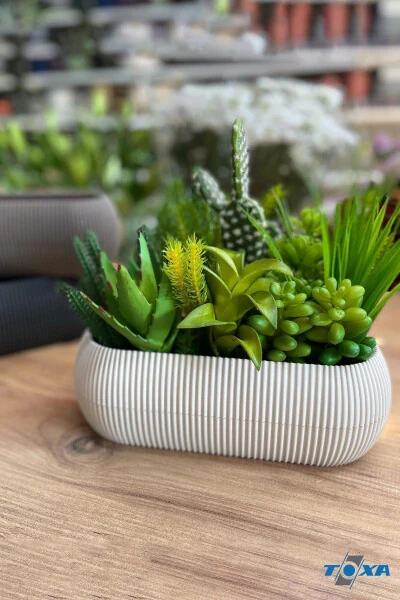 2 Size Coral Long Beige Pot Set Karasu Plastic Succulent Balcony Pot Set - 5