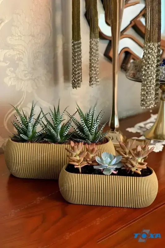 2 Size Coral Long Sof Yellow Pot Set Karasu Plastic Succulent Balcony Pot Set-Yellow - 1