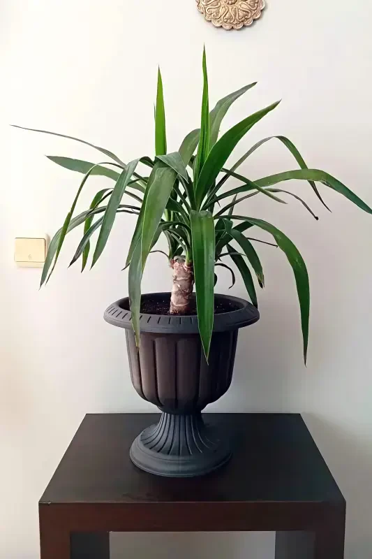 2 ta Kulrang Nargis tuvaklari to'plami Dekorativ plastik gul tuvaklari to'plami - Antratsit - 6