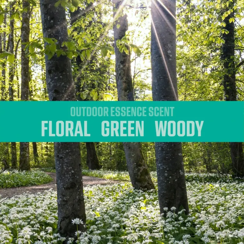 (2 ta) OZIUM Outdoor Essence Stand Alone Spray Automotive Air Freshener, 1 Pack, 3.5 fl oz Can - 11