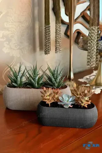 2 Tall Coral Long Pot Set-Assorted - 1