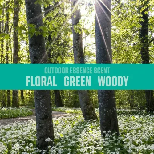 (2 упаковки) OZIUM Outdoor Essence Stand Alone Spray Automotive Air Freshener, 1 Pack, 3.5 fl oz Can - 11