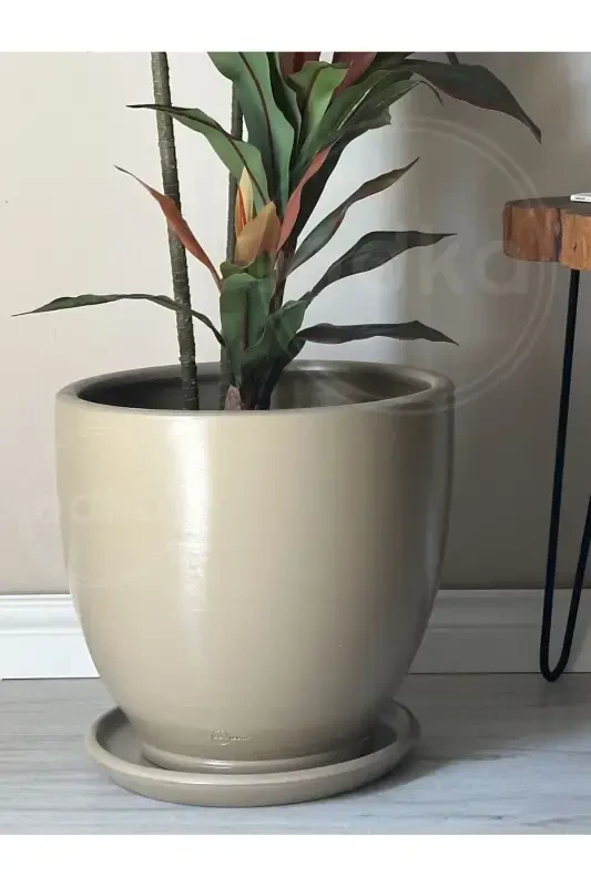 20 Liter Classic Pot with Saucer 30cmx30cm Beige-Beige - 3