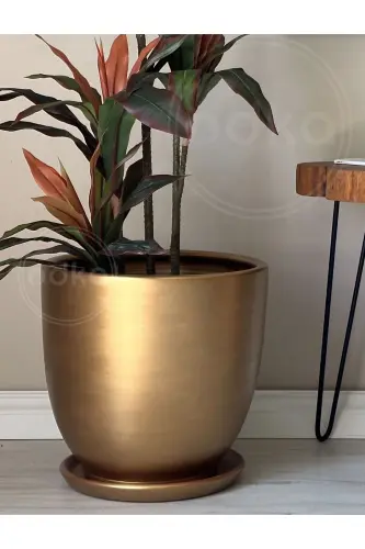 20 liter Classic Pot with Saucer 30cmx30cm Gold-Gold - 3