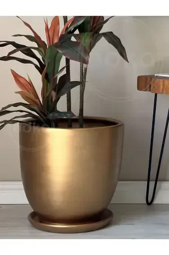 20 litr Klassik guldon, taglik bilan, 30smx30sm, tilla rang-tilla rang - 3