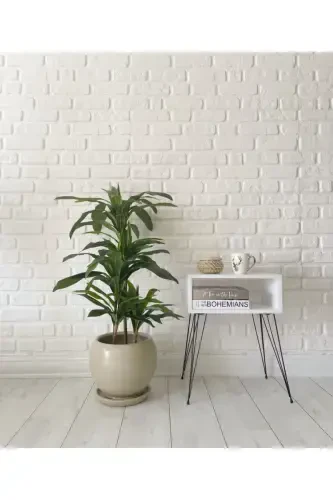 20 litr Küra Guldoni Tagʻlik bilan 27cmx27cm Tosh Rang-TOSH RANG - 1