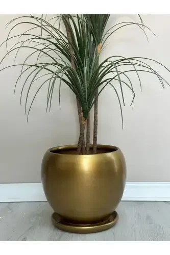 20 litr Küra Ko'chat idishi likopchali 27cmx27cm Gold-Gold - 1