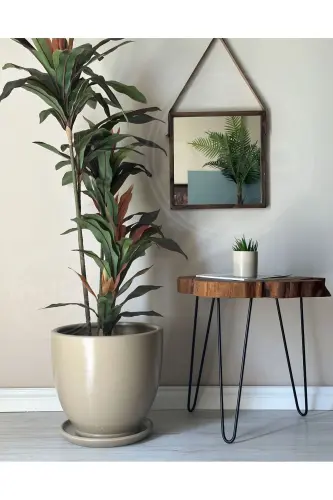 Klasik Saksı Tabaklı 30cmx30cm Bej - Bej - 1
