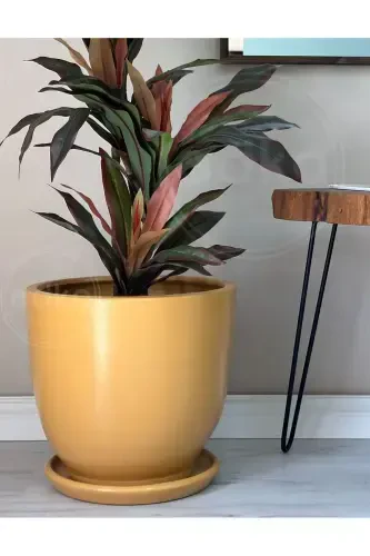 20litre Klasik Saksı Tabaklı 30cmx30cm Sarı-Sarı - 2