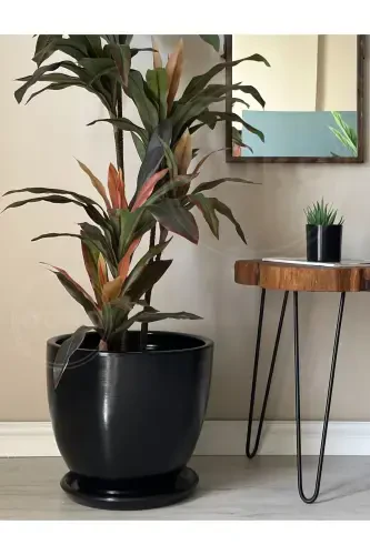 20litre Klasik Saksı Tabaklı 30cmx30cm Siyah-SİYAH - 2