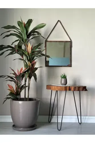 20litre Klasik Saksı Tabaklı 30cmx30cm Vizon-Vizon - 1