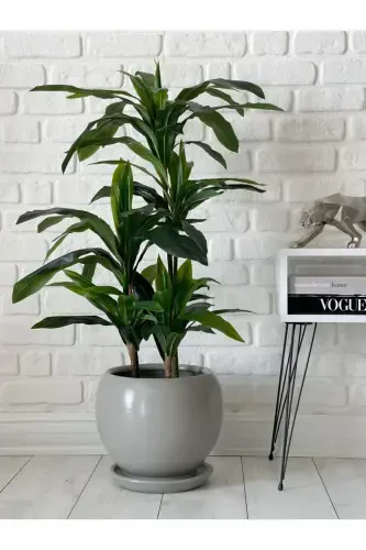 20litre Küre Saksı Tabaklı 27cmx27cm Granit Renk-Granit - 2