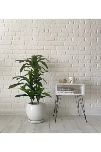 20litre Küre Saksı Tabaklı 27cmx27cm Kırık Beyaz Renk-KIRIK BEYAZ - 2