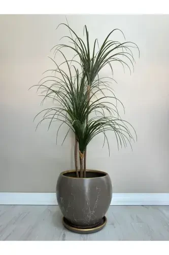 20litre Küre Saksı Tabaklı 27cmx27cm Lily Vizon-beyaz-gold-Vizon - 2