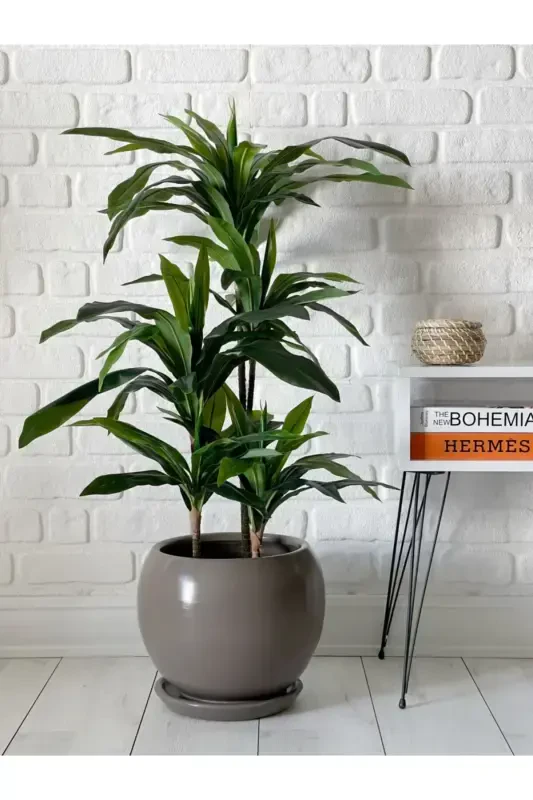 20litre Küre Saksı Tabaklı 27cmx27cm Vizon Renk-VİZON - 1