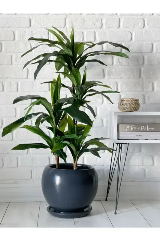 20 litrli sharsimon tuvak, tagʻli, 27cmx27cm antrasit rang-antrasit - odka