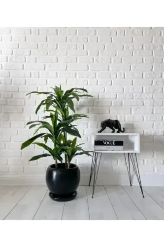 20 литров Круглый Горшок с Поддоном 27смx27см Черный Цвет-ЧЕРНЫЙ - 2