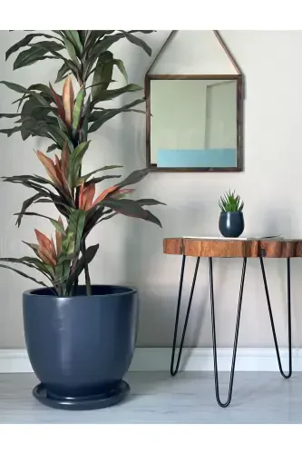 20liter Classic Pot with Saucer 30cmx30cm Anthracite Color-Anthracite - 1