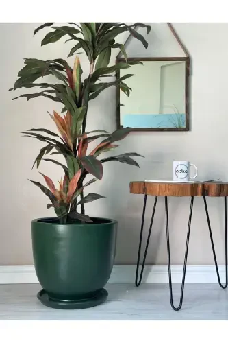 20litre Classic Pot with Saucer 30cmx30cm Dark Green-Dark Green - 1