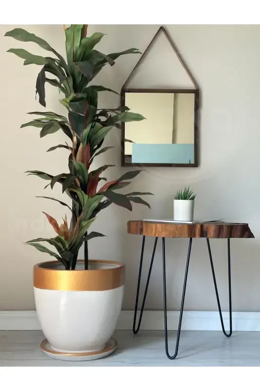 20litre Classic Pot with Saucer 30cmx30cm Ecru Gold-Cream - ODKA