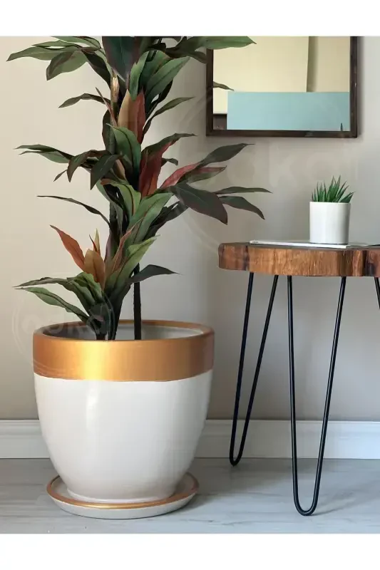 20litre Classic Pot with Saucer 30cmx30cm Ecru Gold-Cream - 2