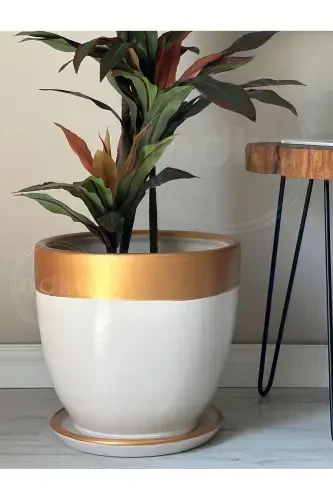 20litre Classic Pot with Saucer 30cmx30cm Ecru Gold-Cream - 3