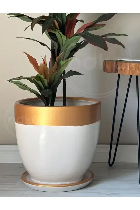 20litre Classic Pot with Saucer 30cmx30cm Ecru Gold-Cream - 3