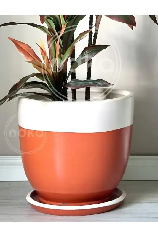 20litre Classic Pot with Saucer 30cmx30cm Tile Ecru-Tile - 3